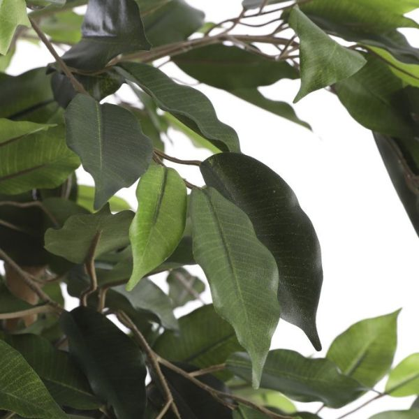 FICUS ARTIFICIAL 150CM