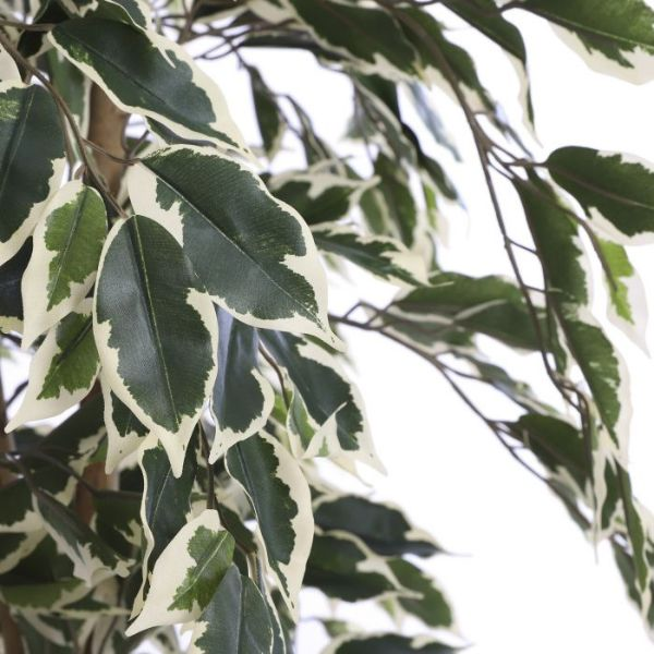 FICUS VARIEGADO ARTIFICIAL 150CM