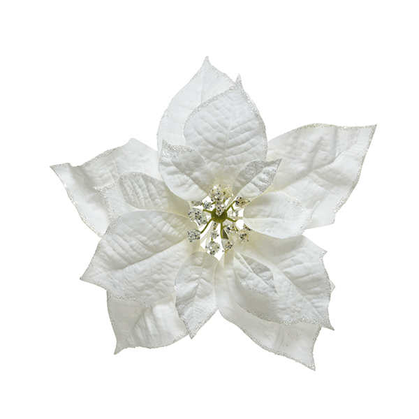 FLOR DE PASCUA BLANCA