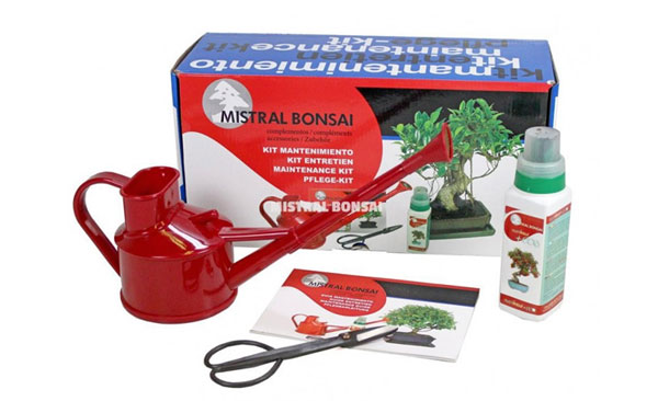 Kit de mantenimiento de bonsáis Casaplanta