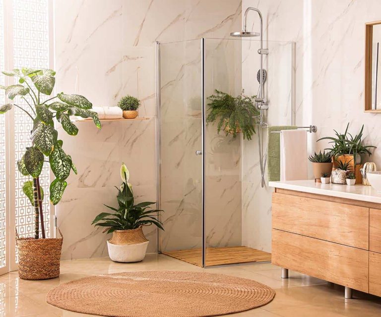 Descubre las plantas perfectas para cada estancia de tu casa – Blog de ...