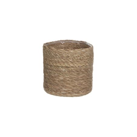 Tus plantas otoño-invierno ahora en maceta