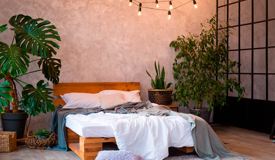 Dormir con plantas en la habitación