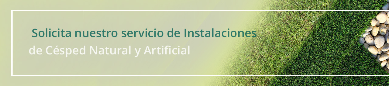 servicio de mantenimiento de cesped artificial