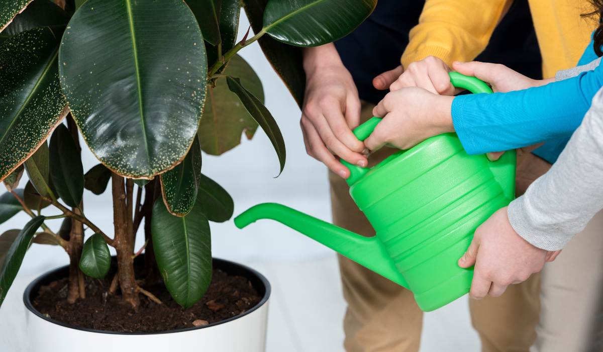 Cómo regar tus plantas en vacaciones