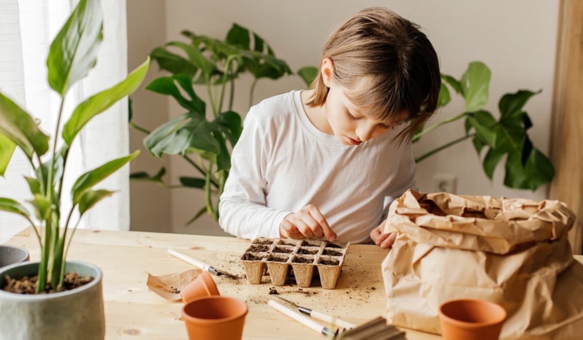 ¿Cómo hacer un semillero en casa? Top semillas para tu huerto