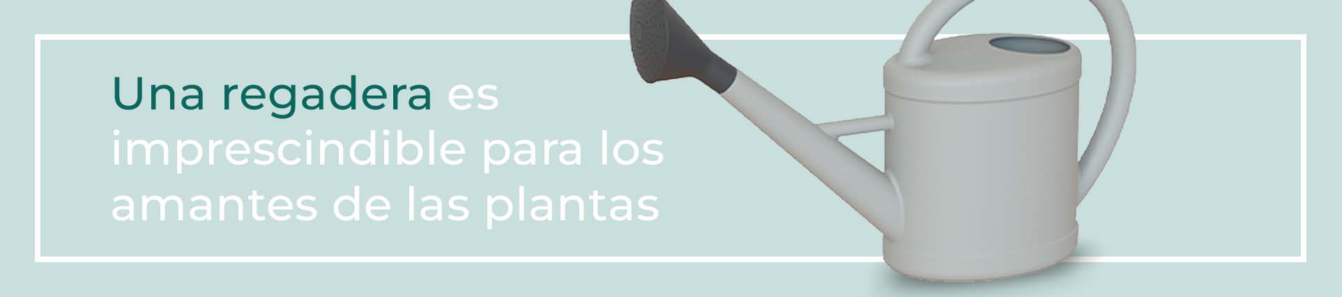 Riega tu Chamaedorea y manten sus cuidados