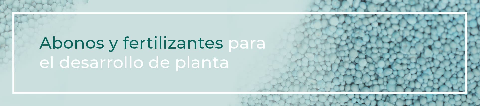abonos y fertilizantes planta vivaz