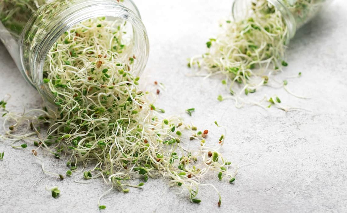 Guía: Cómo hacer germinados en casa