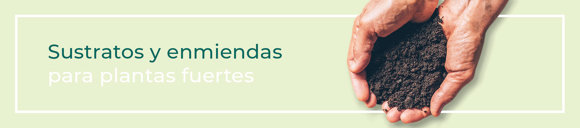 sustratos y enmiendas para brotes