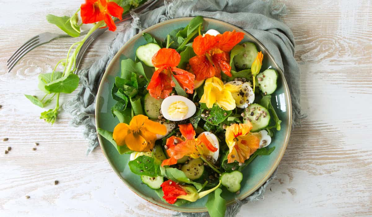 Los beneficios de las flores comestibles