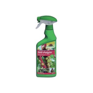 Coco nucífera y sus cuidados