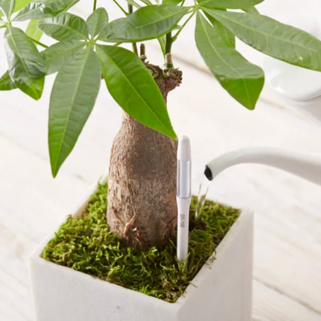 Sensor de humedad para control de tus plantas comestibles