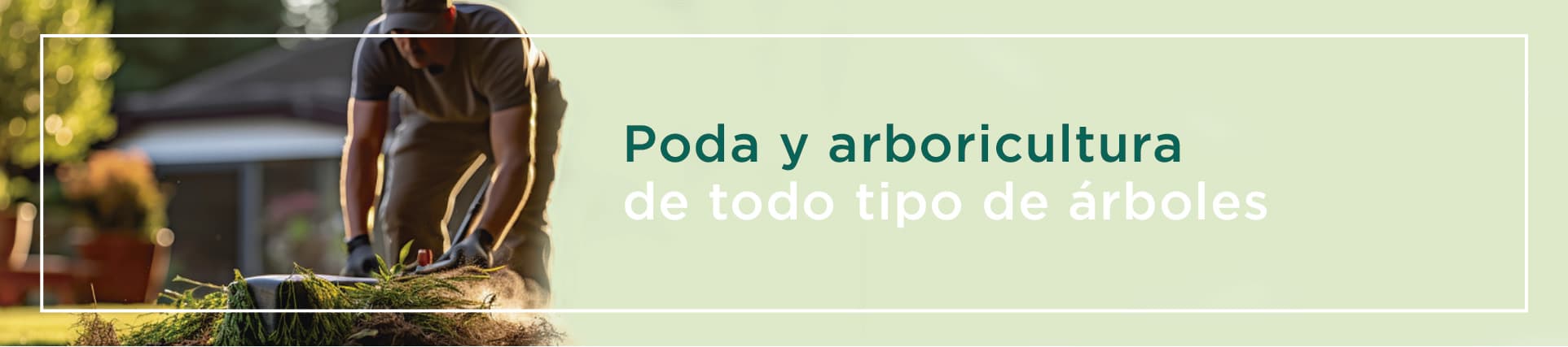 Poda de plantas de temporada de otoño invierno