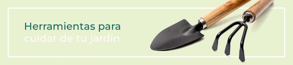 Plantar bulbos