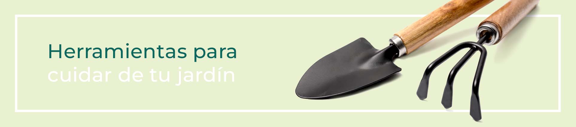 Cómo cuidar un ramo de rosas