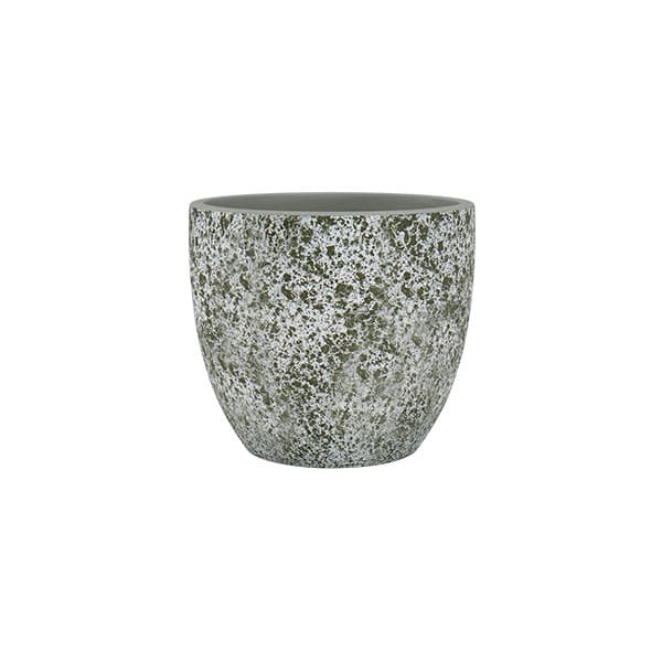 Cuidados de la albahaca, en maceta