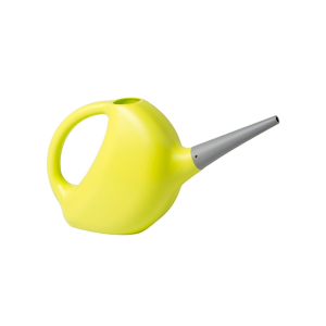 Beneficios de la planta de albahaca