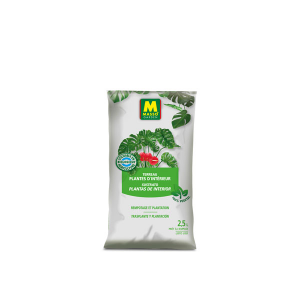 Sustratos para mantener plantas aéreas sanas