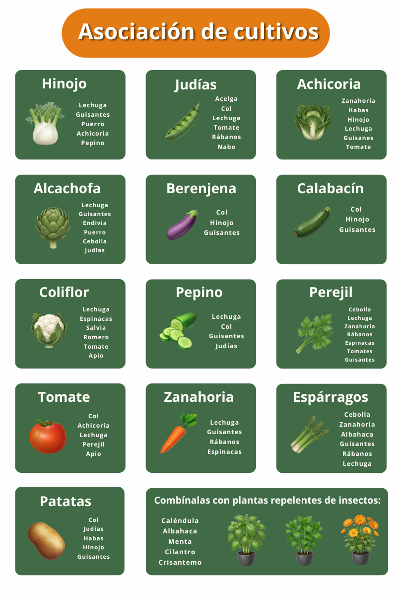 tabla de asociación de cultivos