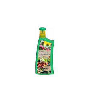 Abono para tu planta trepadora