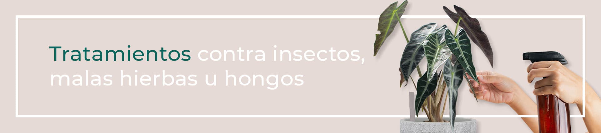 Sistema hidropónico