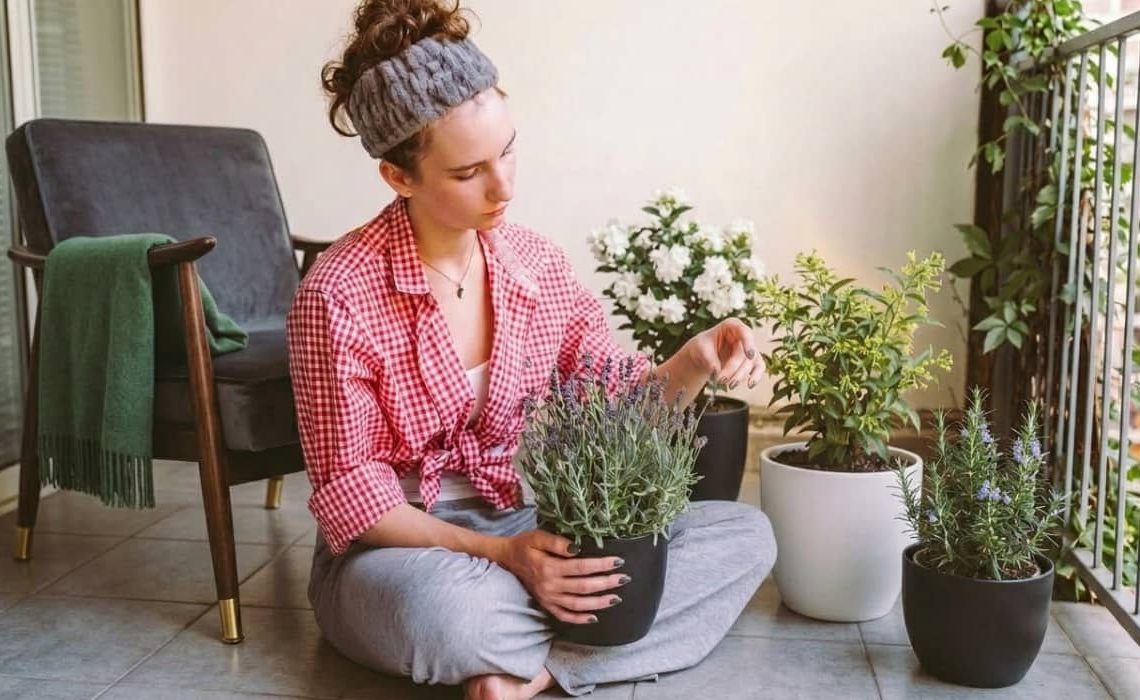 5 plantas con olor para exterior: llena tu terraza o jardín de aromas naturales 