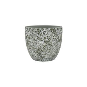 Lavanda plantas con olor para exterior
