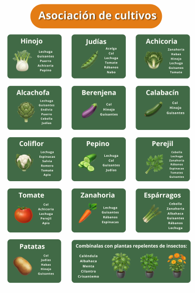 tabla de asociación de cultivos