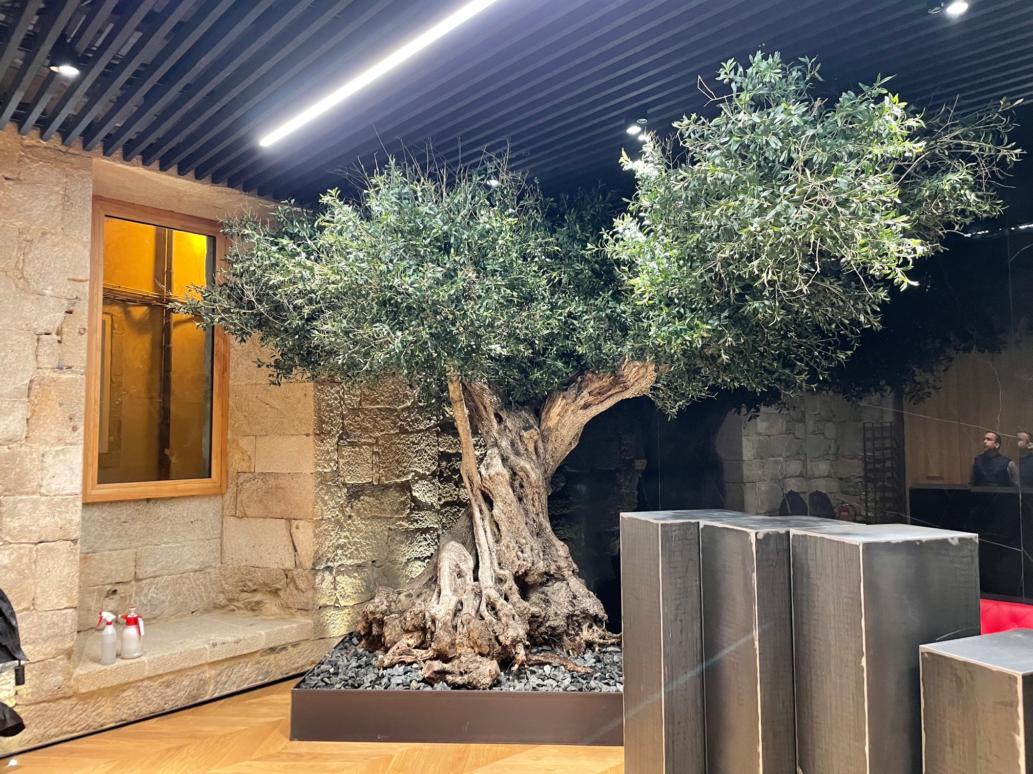 Palacio de la Oliva Vigo