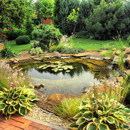 Instalar un estanque en el jardín